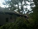 Waidach - Baum wurde vom Hausdach entfernt