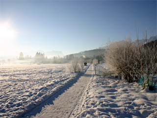 Winterfoto Gemeindegebiet Adnet [037]